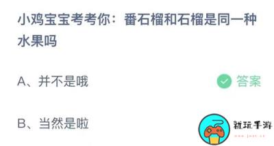 蚂蚁庄园10月26日:番石榴和石榴是同一种水果吗