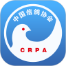 中国信鸽协会 v2.6.0