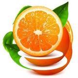 橙子视频 v2.3.0