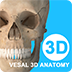 维萨里3D解剖 v5.6.0
