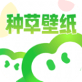 种草壁纸 v1.0.0