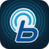 现代bluelink v3.07