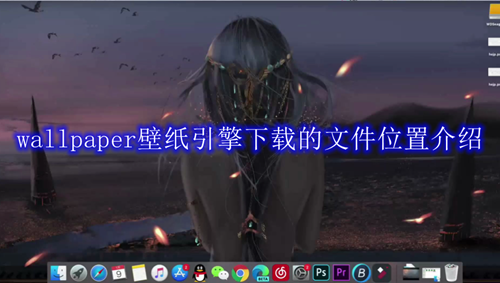 wallpaper壁纸引擎下载的文件位置介绍